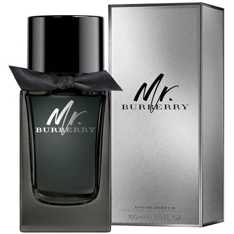 mr burberry 100ml cena|mr burberry cologne 2017.